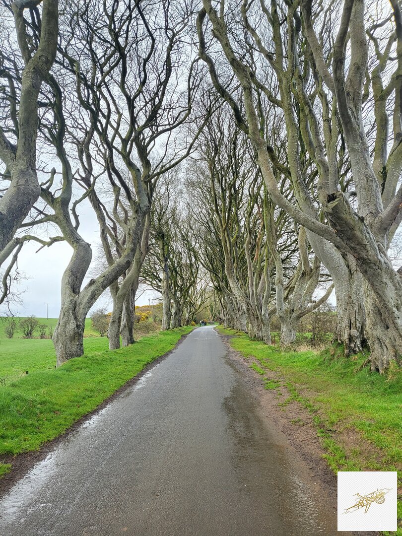Irlande - Aventure