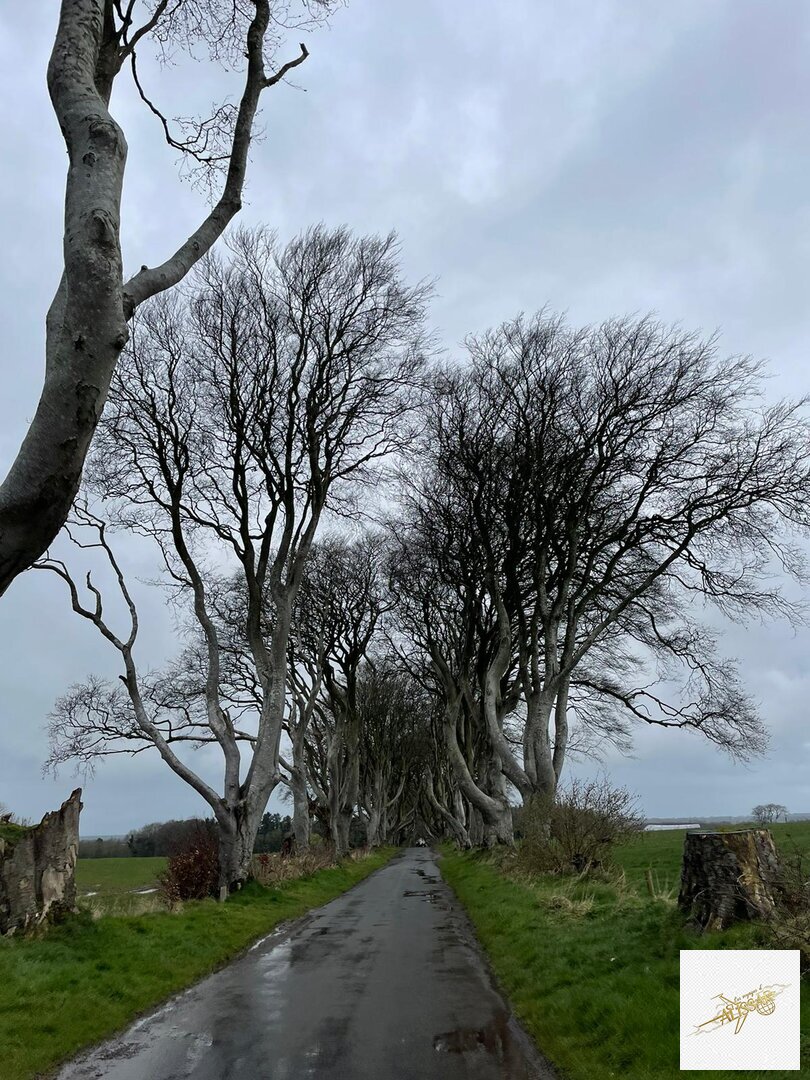 Irlande - Souvenir