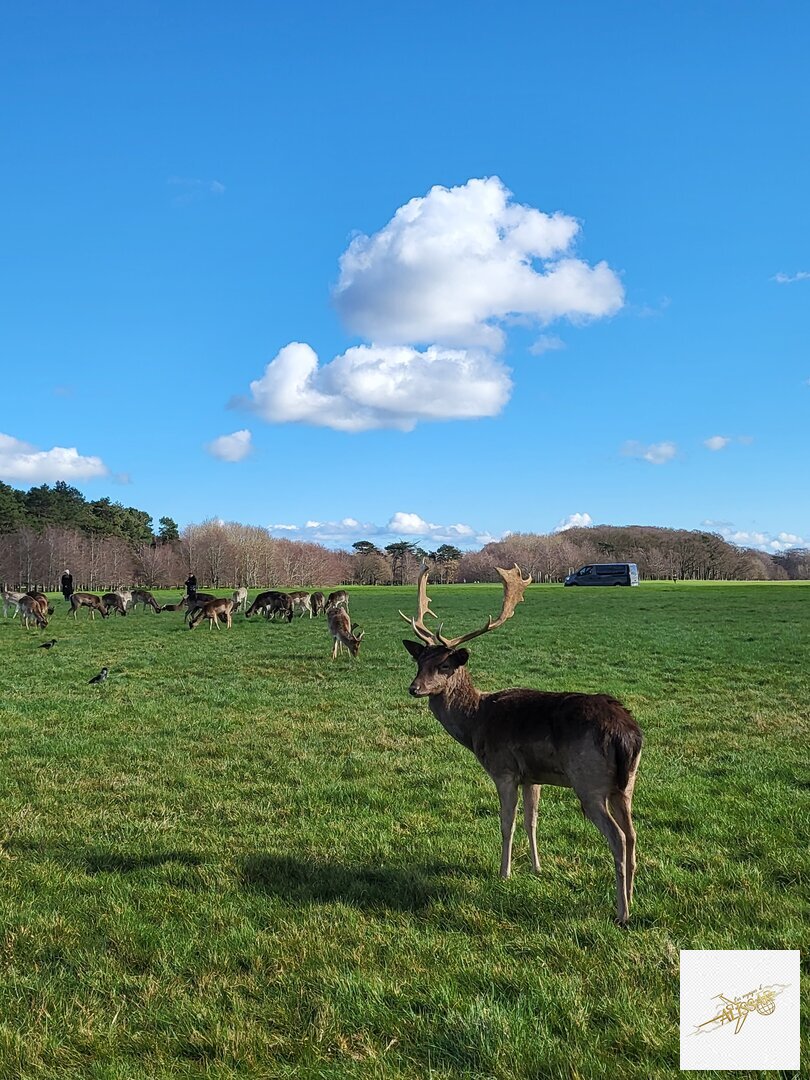 Irlande - Nature