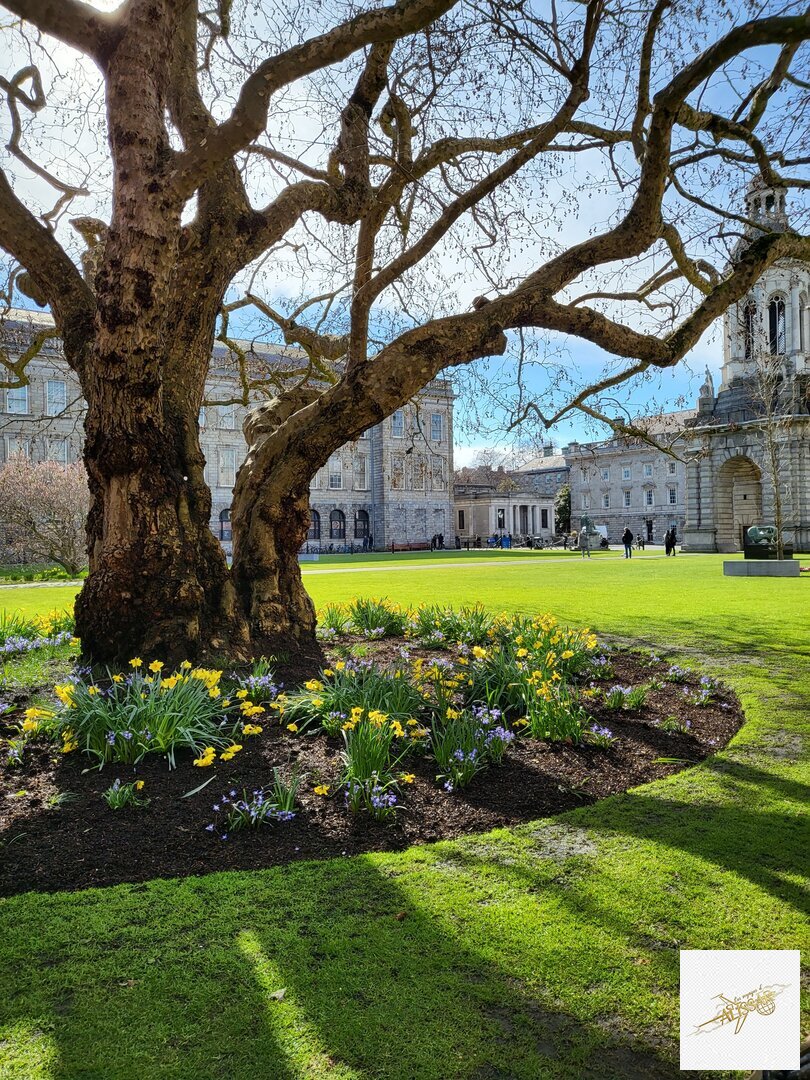 Irlande - Dublin