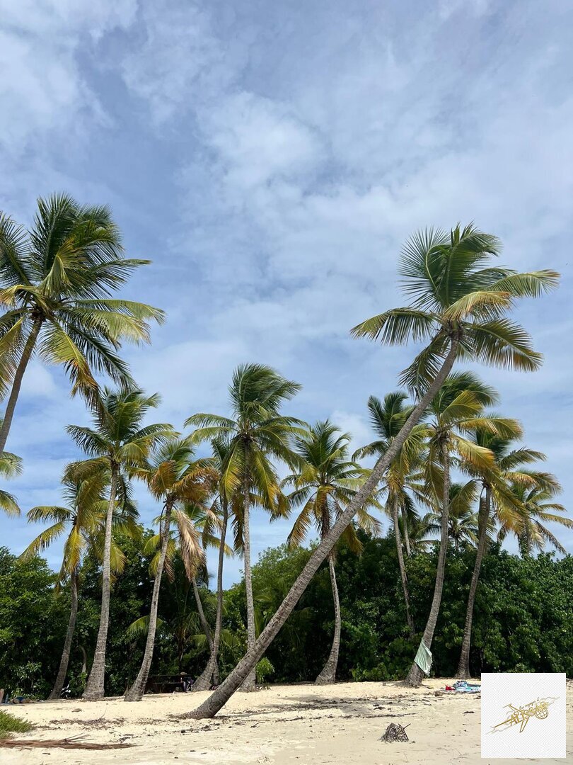 Martinique - Évasion