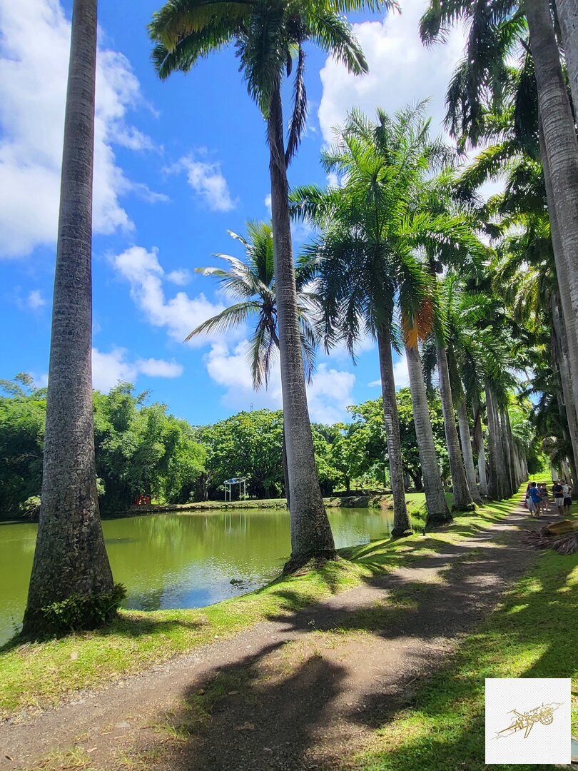 Martinique - Côte