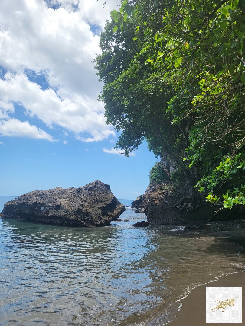 Martinique - Découverte
